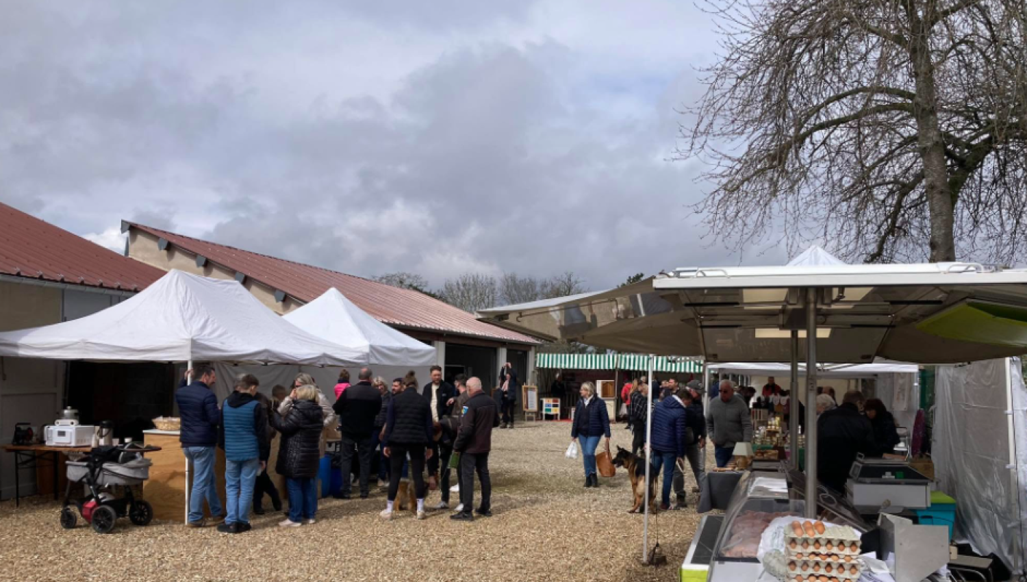 Home fb 1 marche